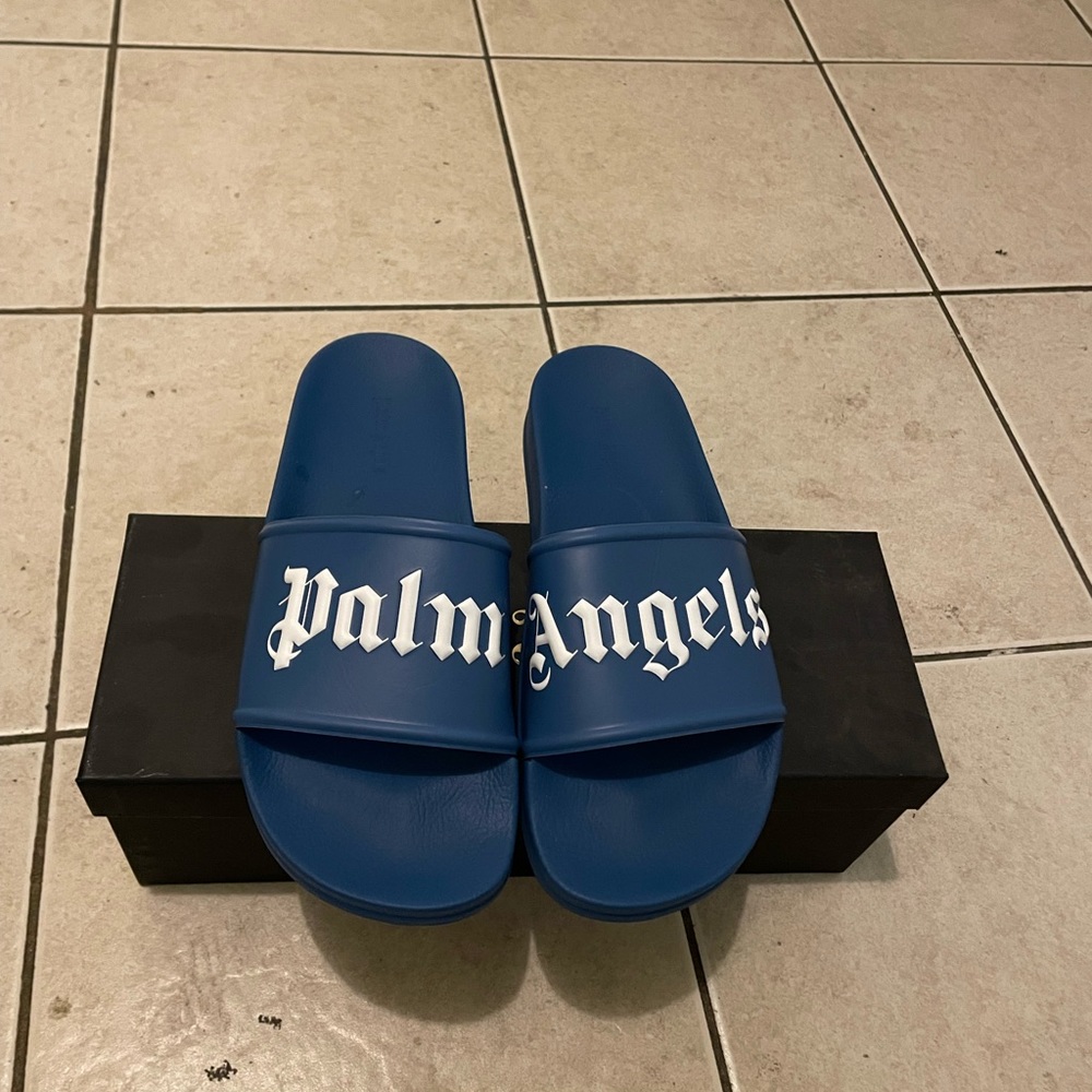 Palm Angel Pool Slides